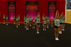 Run-Through_Shining-Emeralds_004