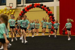 Run-Through_Tiny-Topaz_001