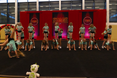 Run-Through_Tiny-Topaz_005
