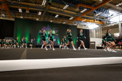 Auftritt Shining Emeralds