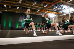 Auftritt Shining Emeralds