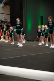 Auftritt Shining Emeralds