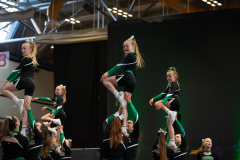 Auftritt Wild Sapphiers