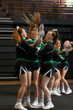 Warm-Up Wild Sapphiers