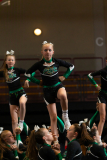 Warm-Up Wild Sapphiers