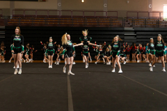 Warm-Up Wild Sapphiers