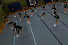 Deutschland - November, 24: PSC Cheerleading Wild Sapphiers bei der Generalprobe für die GermanCheerOpen (Foto: Benedikt Lang)
