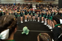 SummerCheerMasters 2025